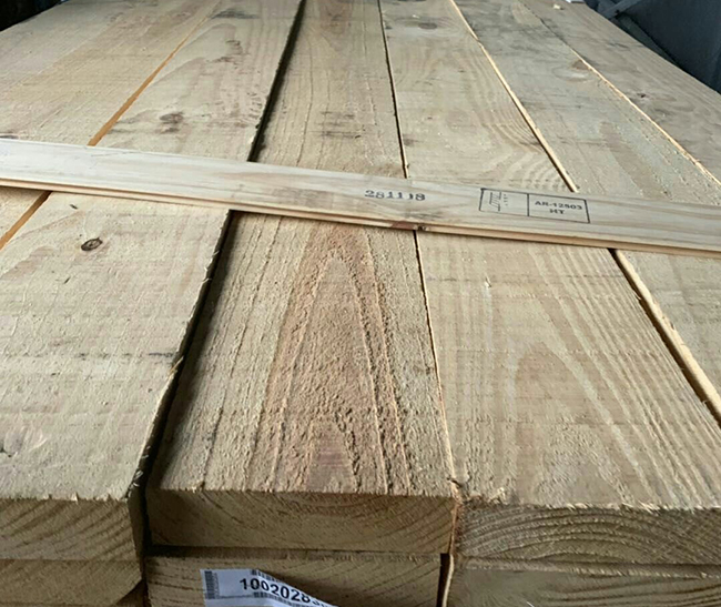 江宁阿根廷松木